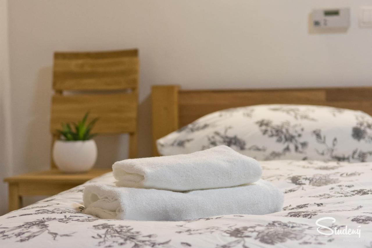 Apartmany Studeny Kunratice  エクステリア 写真